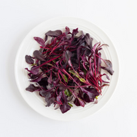 BULL'S BLOOD BEETROOT SEEDS